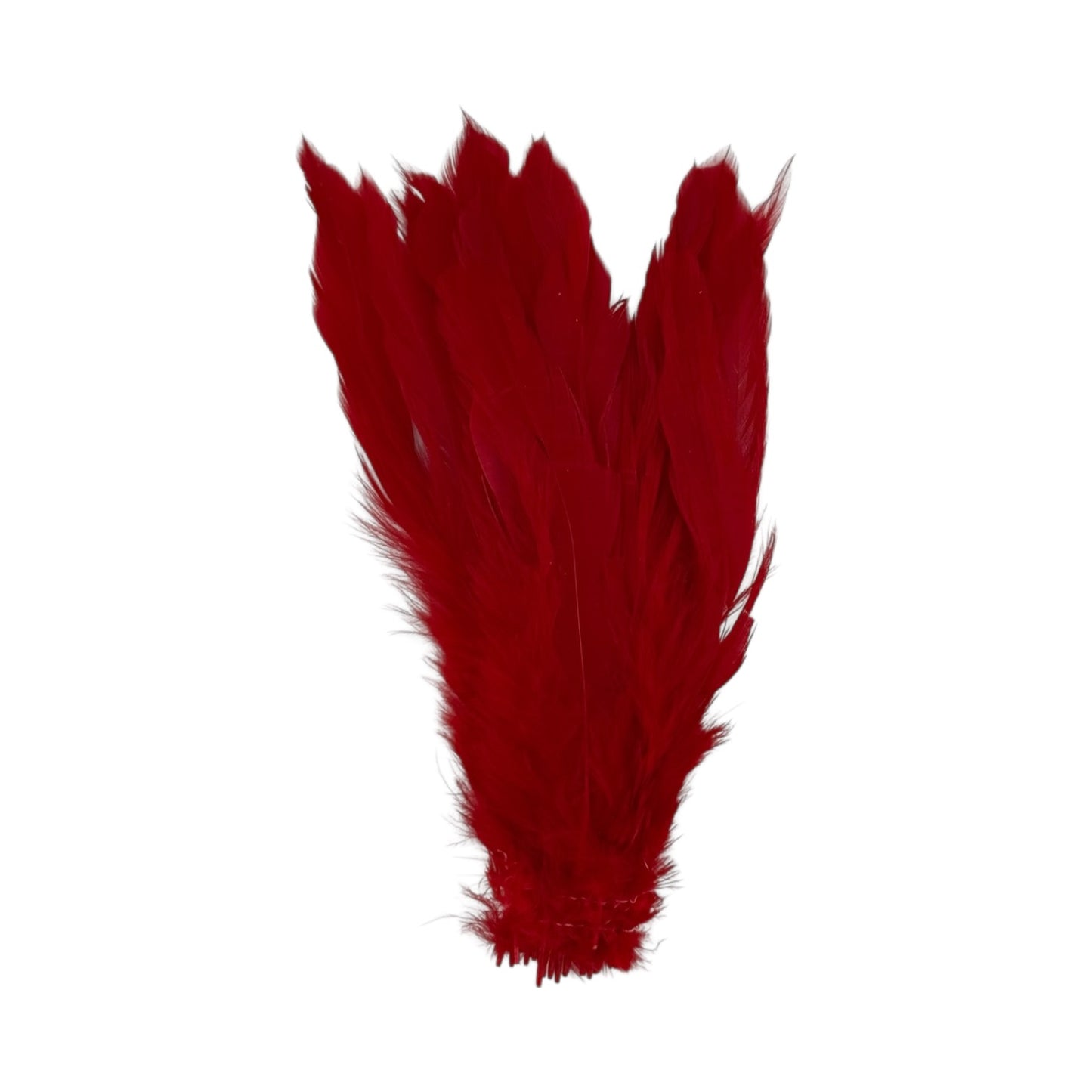 Strung Schlappen Long