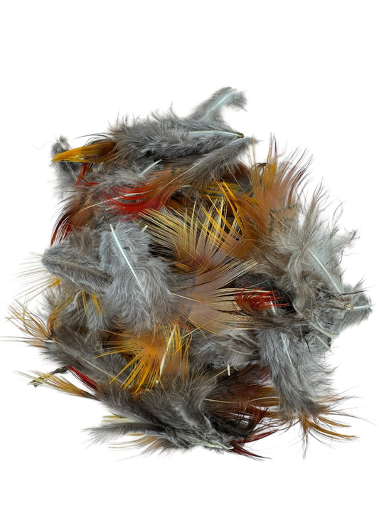 Golden Pheasant Rump Feathers