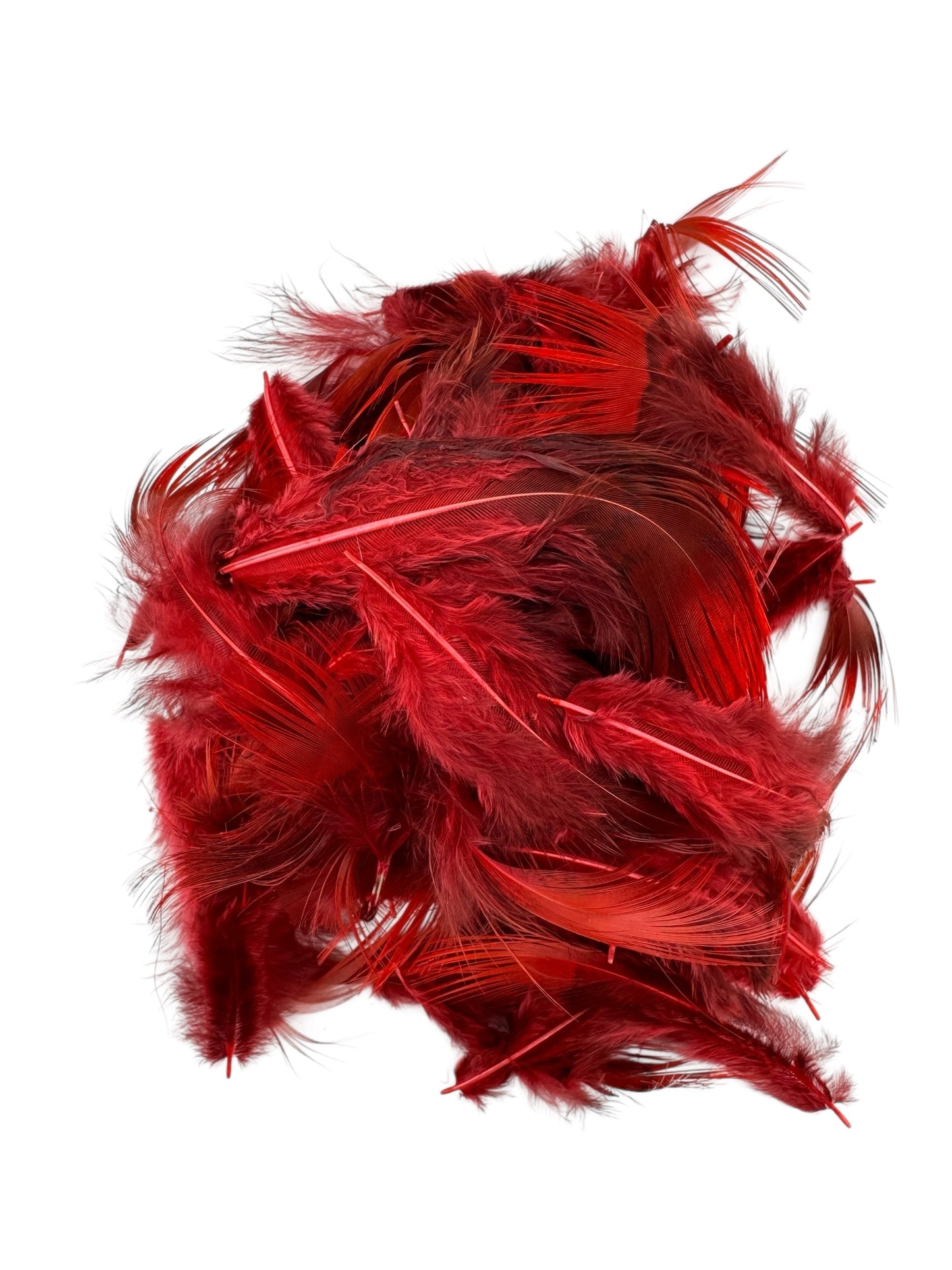 Golden Pheasant Rump Feathers