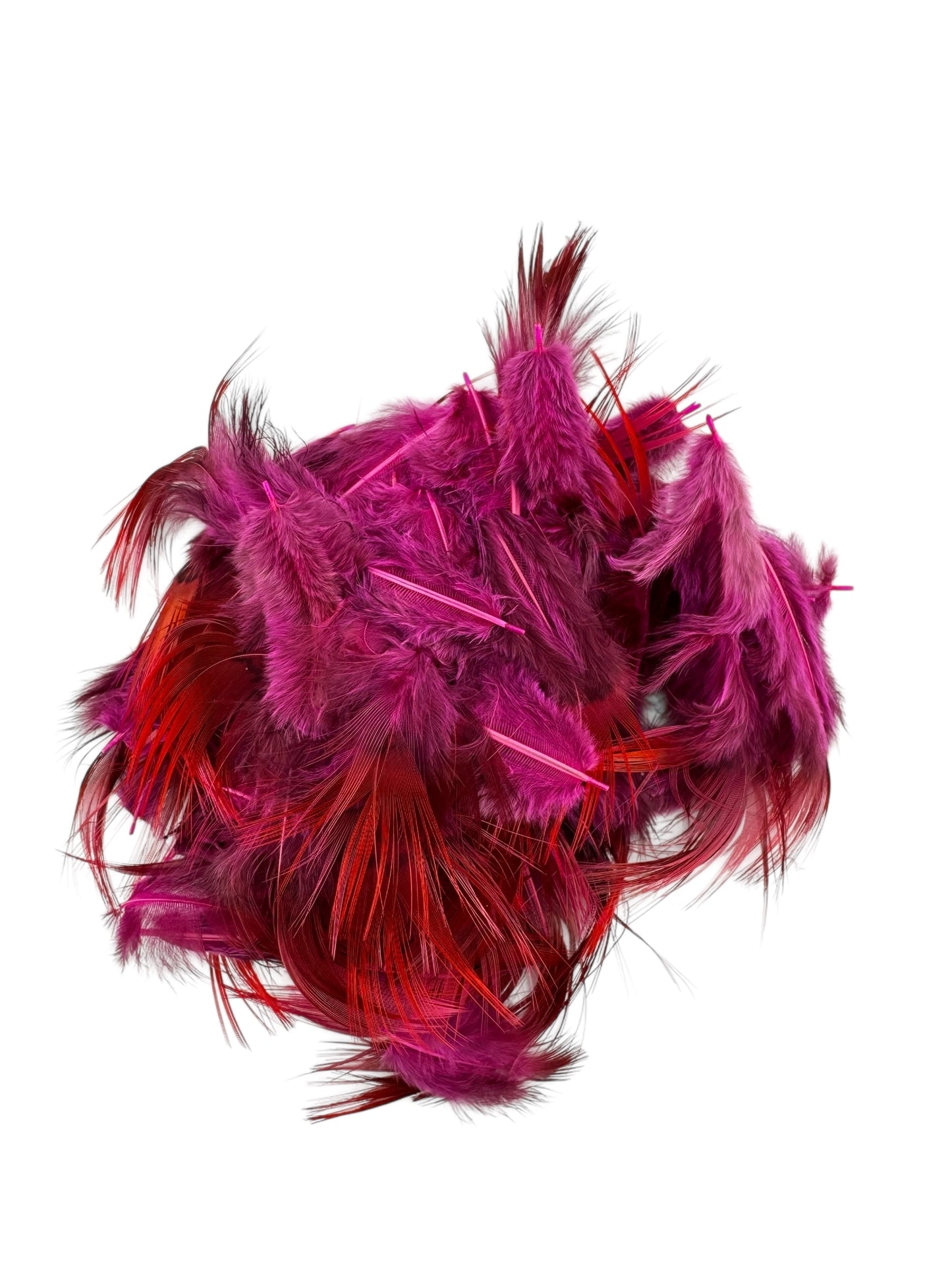 Golden Pheasant Rump Feathers