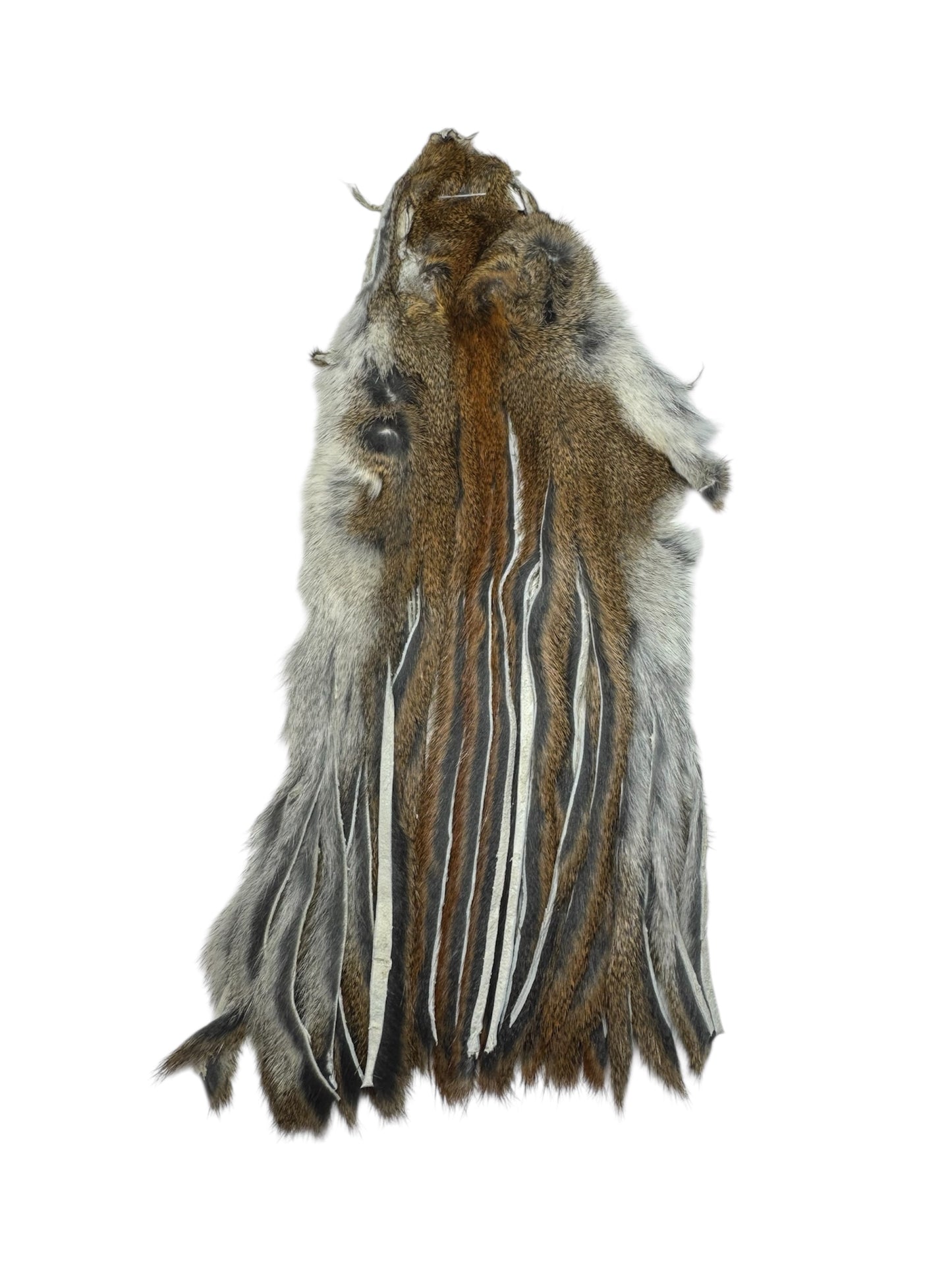 Pine Squirrel Skin Zonked