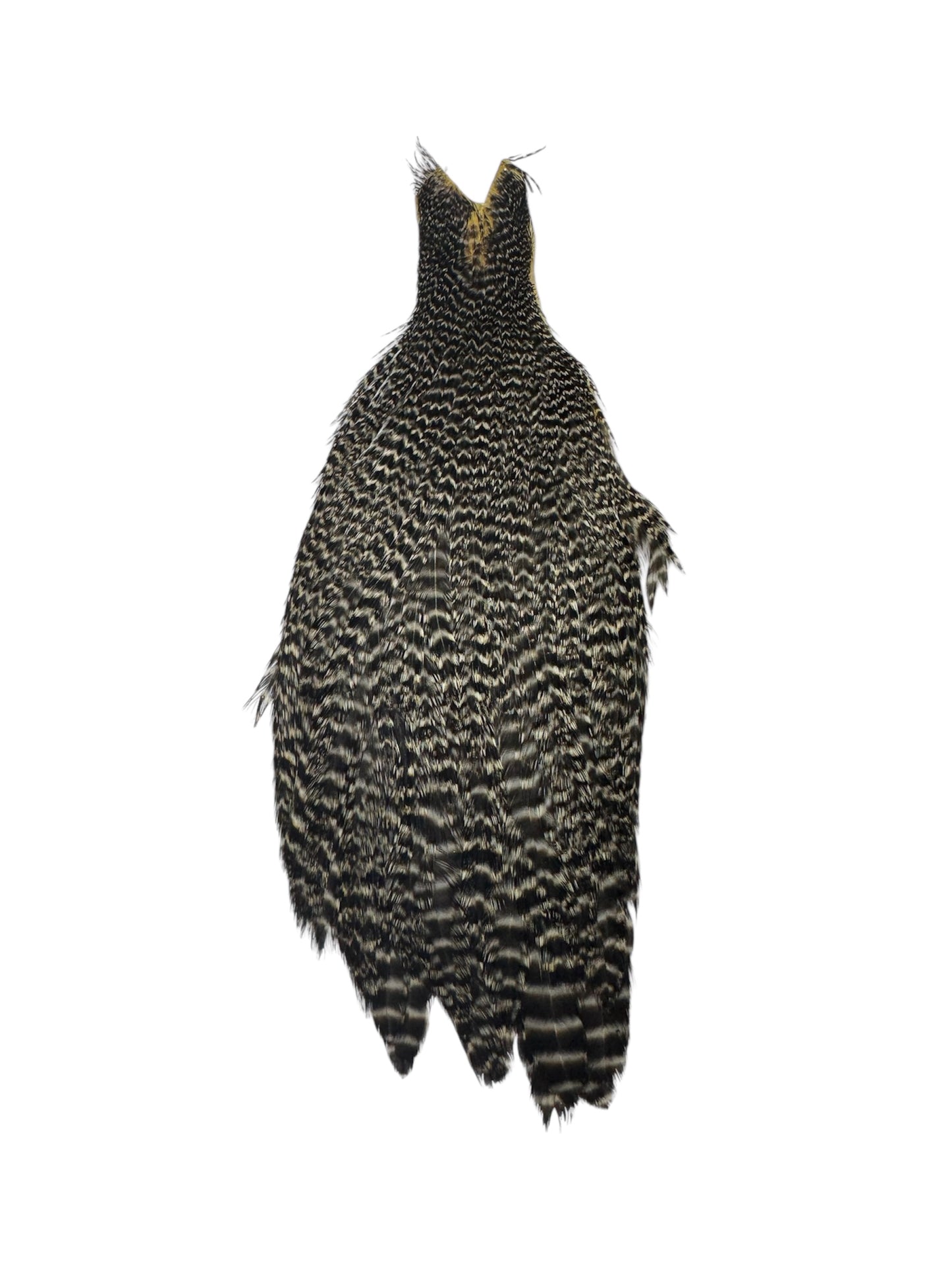 Grizzly Hen Cape