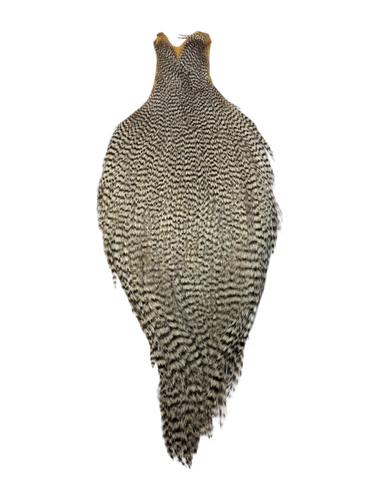 Ewing Grizzly Rooster Whole Cape