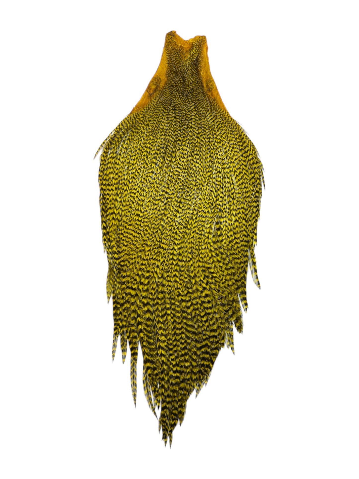 Ewing Grizzly Rooster Whole Cape