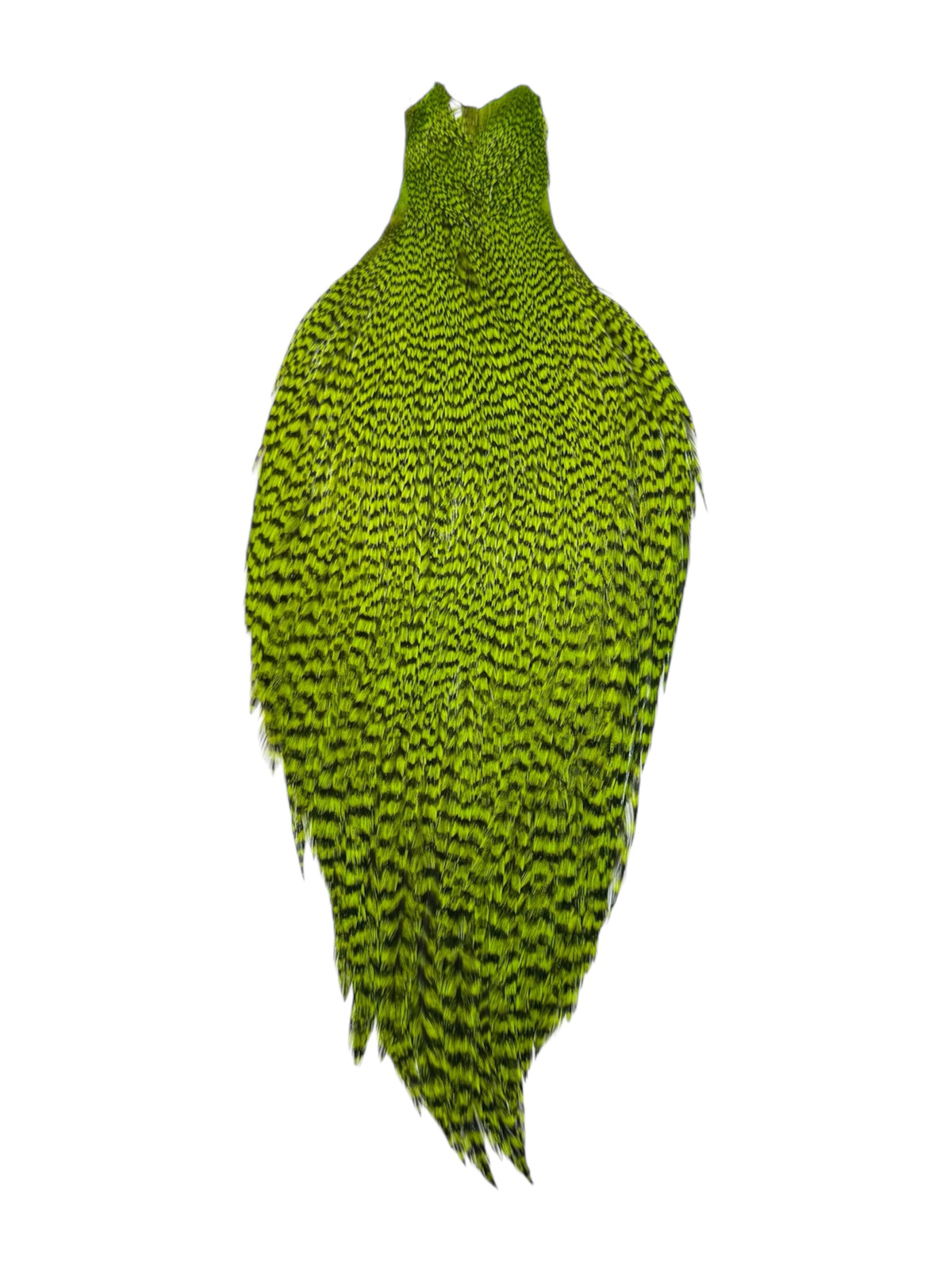 Ewing Grizzly Rooster Whole Cape