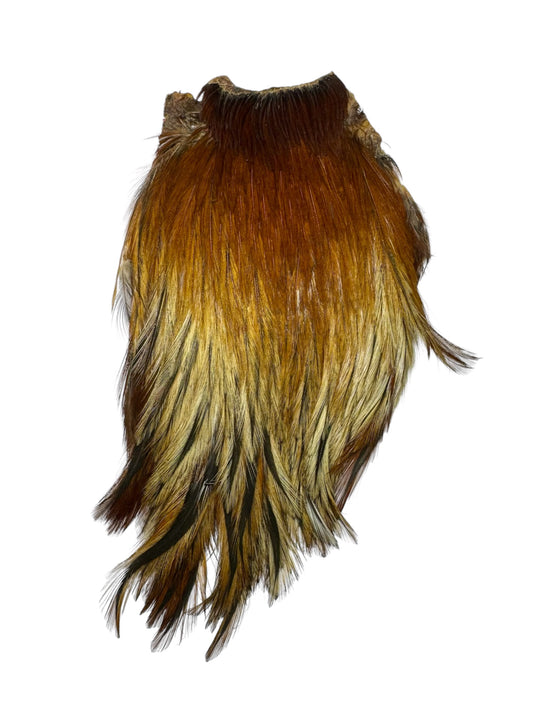 Dry Fly Rooster Neck | Prime