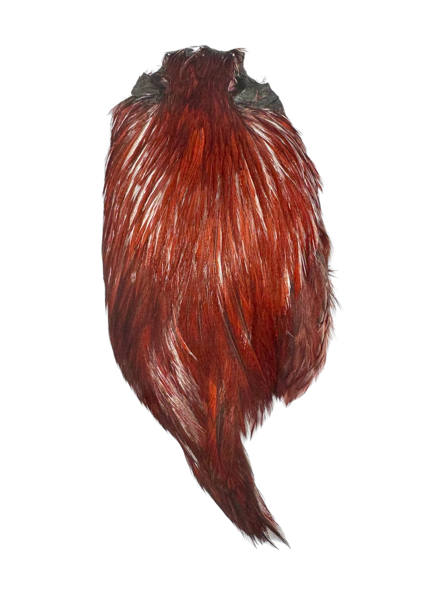 Dry Fly Rooster Neck | Prime