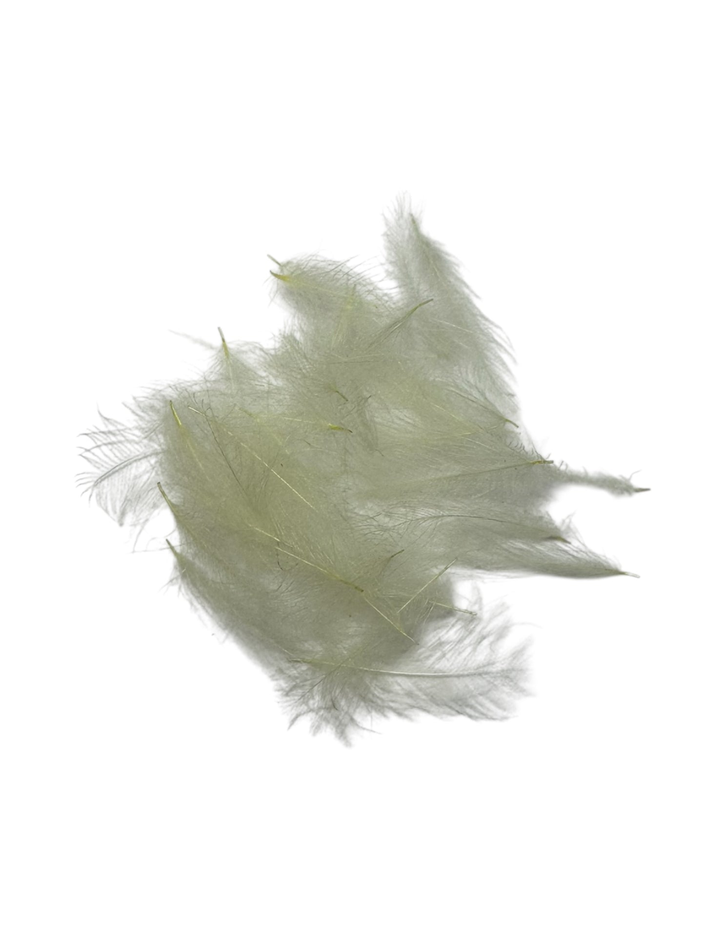 Cul de Canard (CDC)