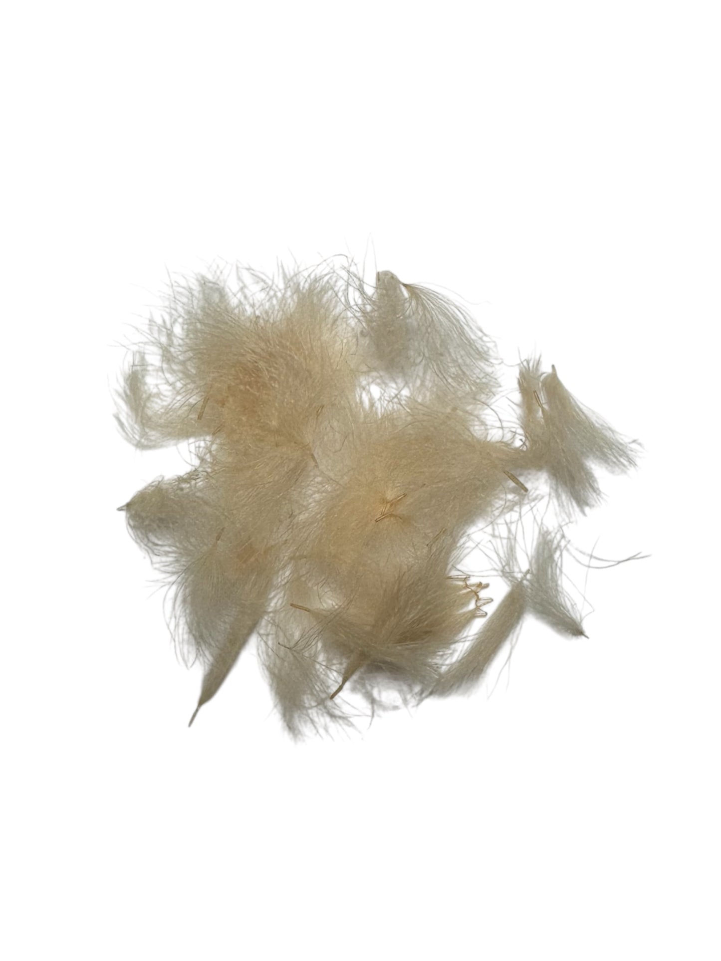 Cul de Canard (CDC) Tufts
