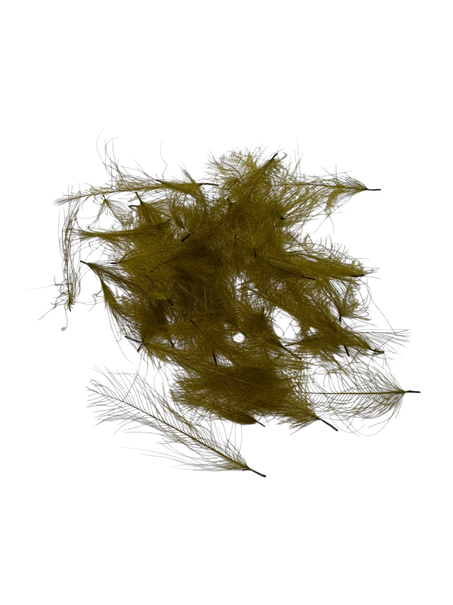 Cul de Canard (CDC) 1 Gram Pack