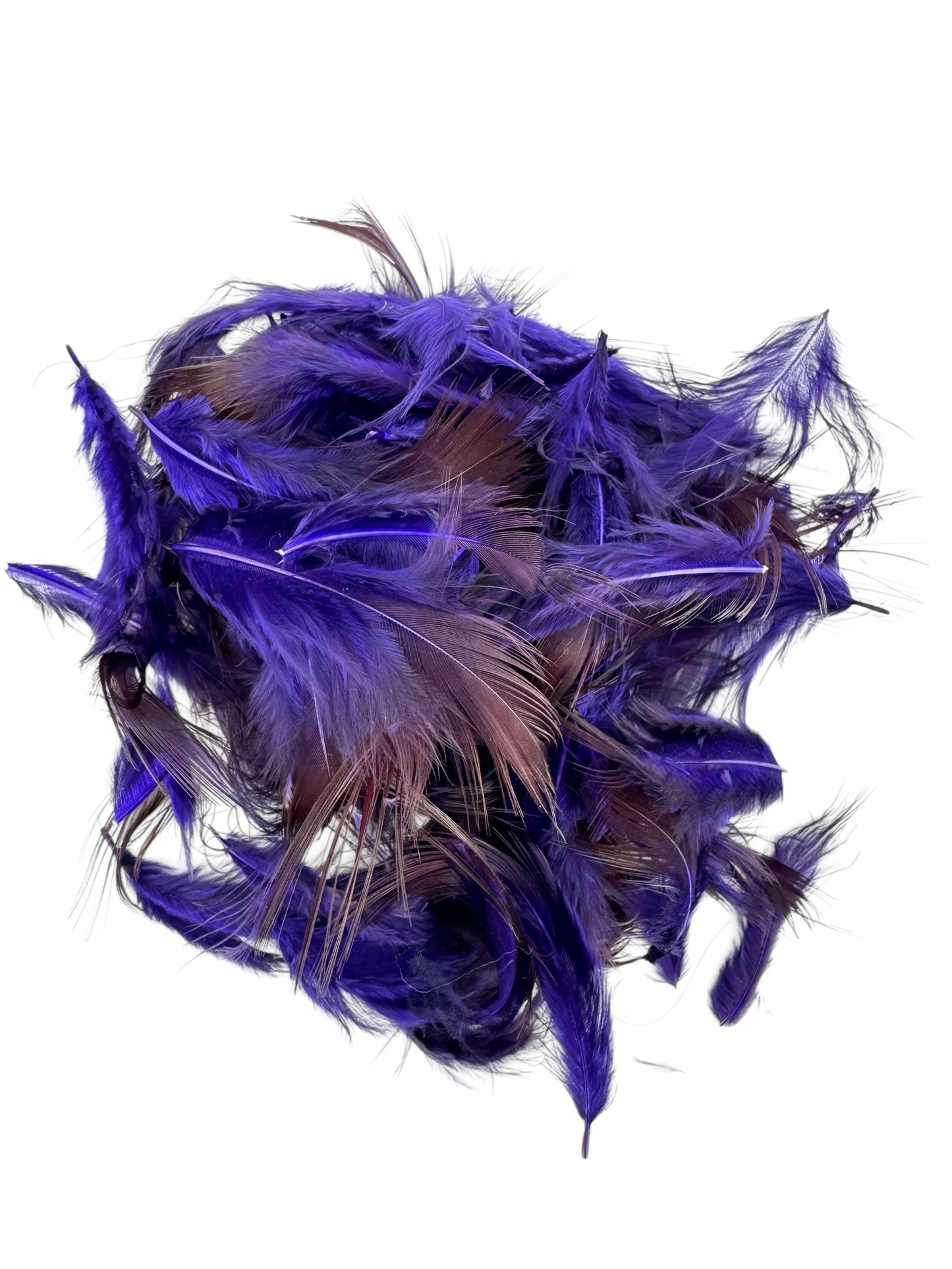 Golden Pheasant Rump Feathers