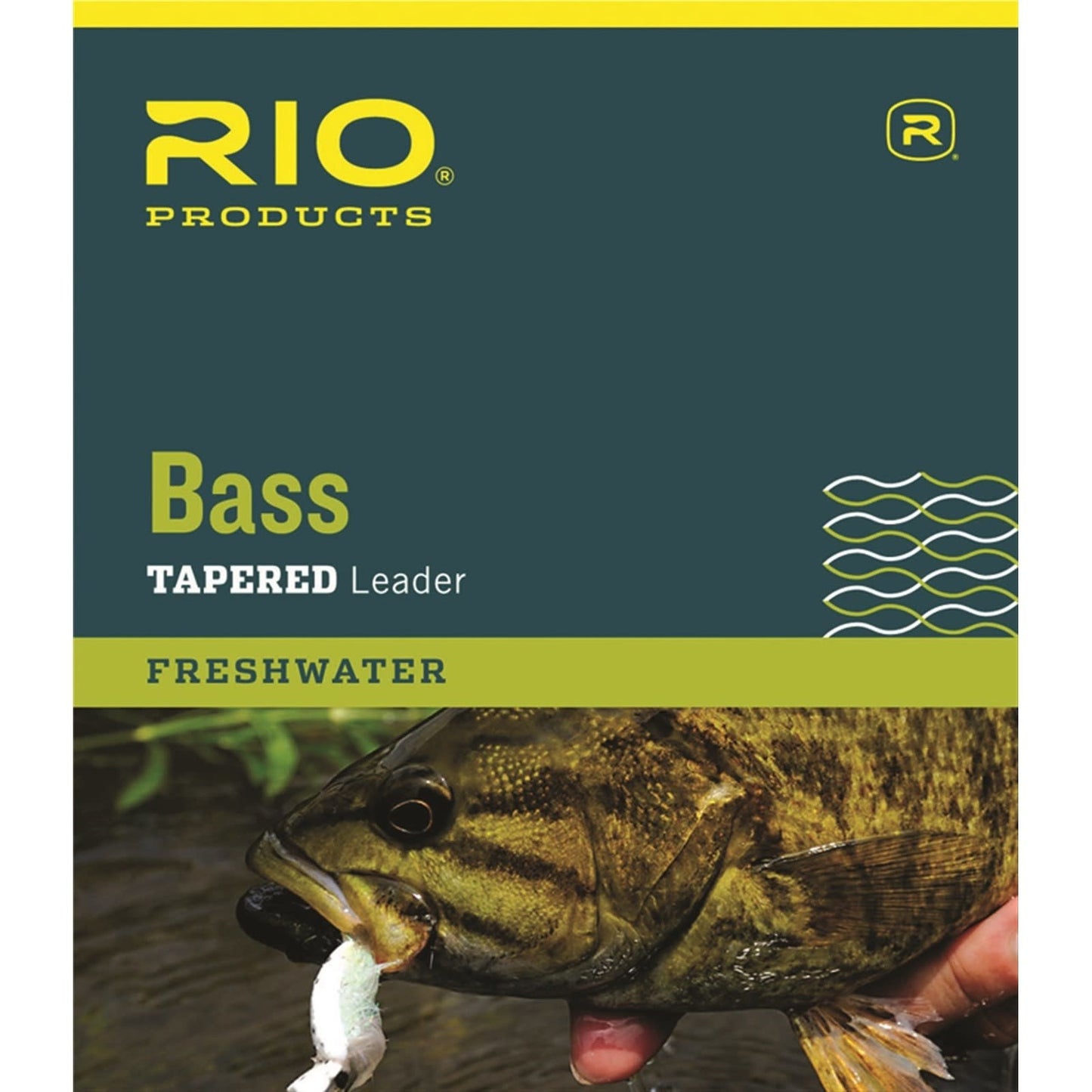 Bass Leaders 3-Pack