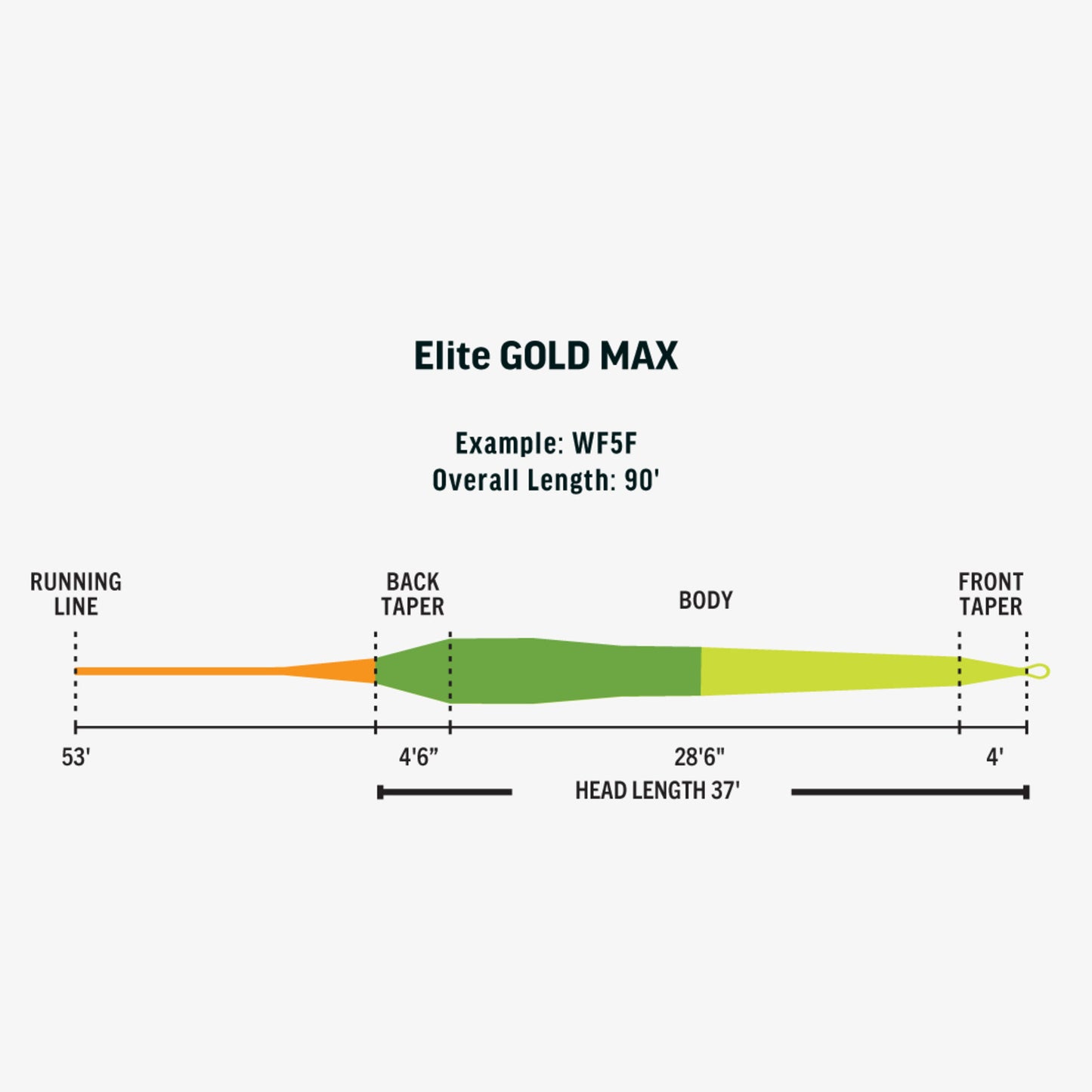 Elite Gold MAX