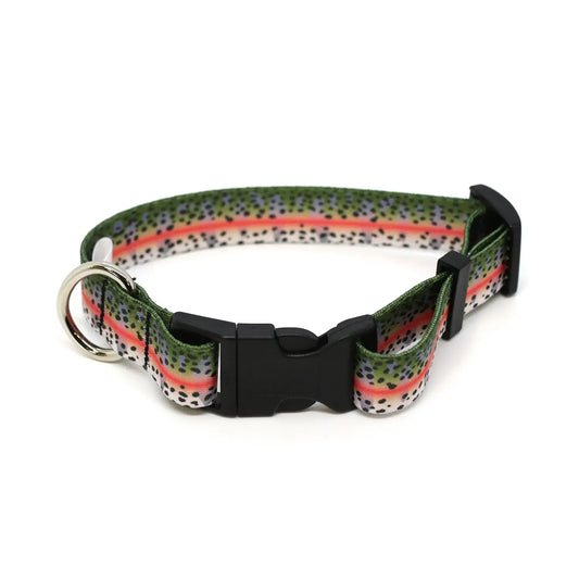 Rainbow Trout Skin Dog Collar