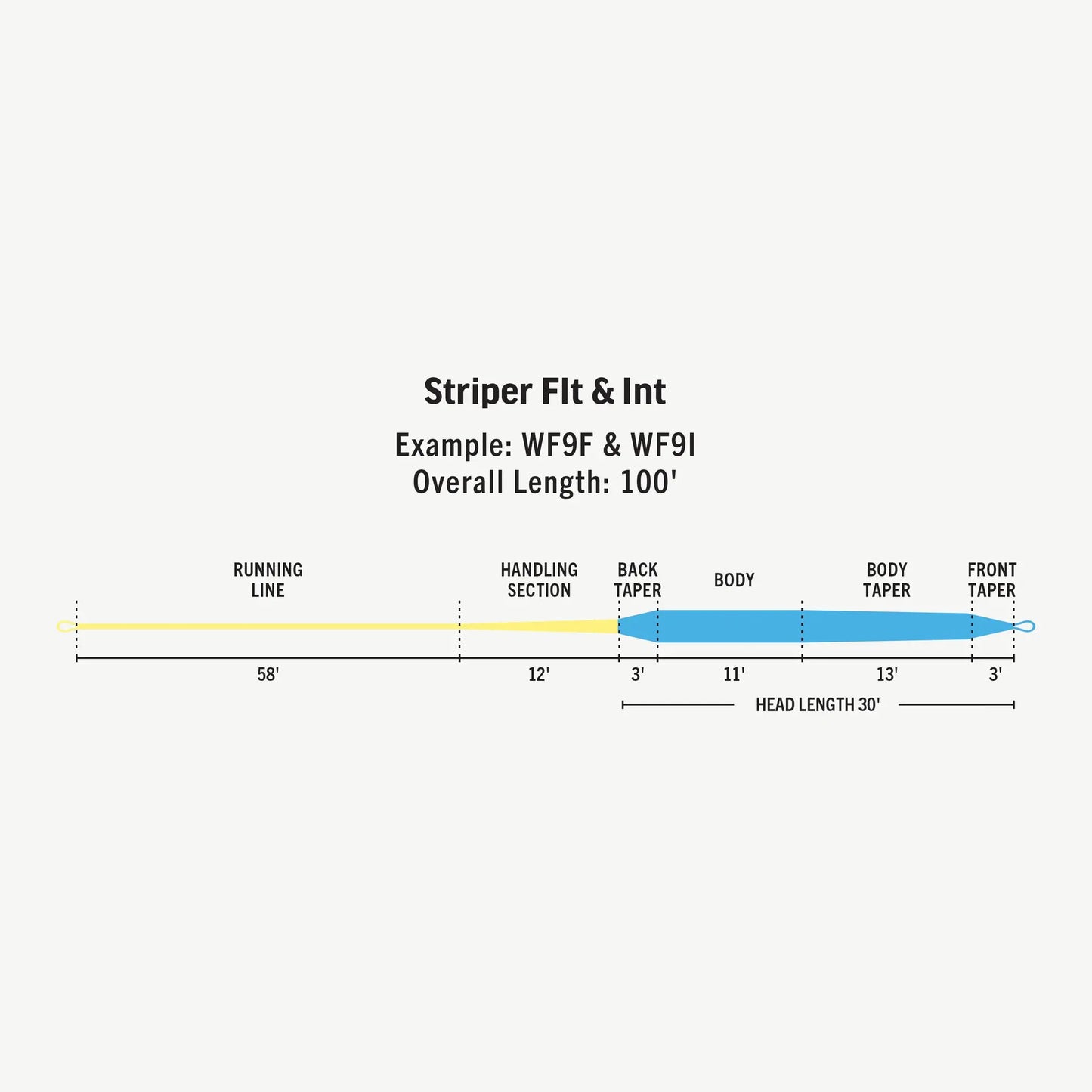 Premier Striper -