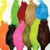 Neck Hackle -
