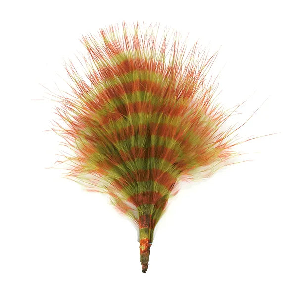 Barred Marabou