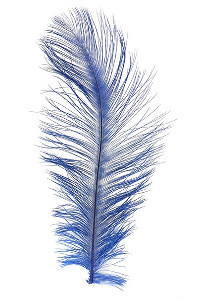 Ostrich Plumes
