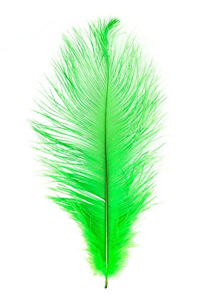 Ostrich Plumes