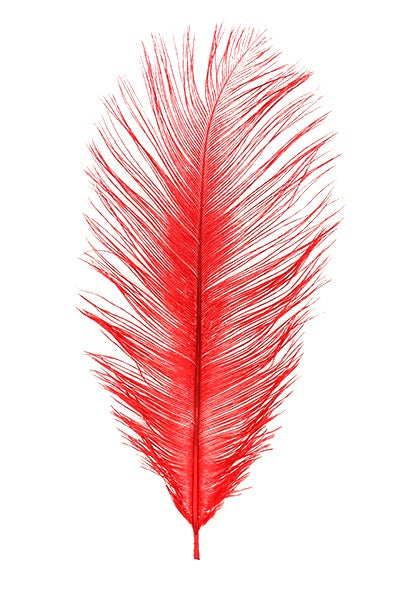 Ostrich Plumes