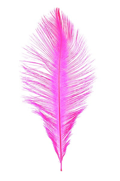 Ostrich Plumes