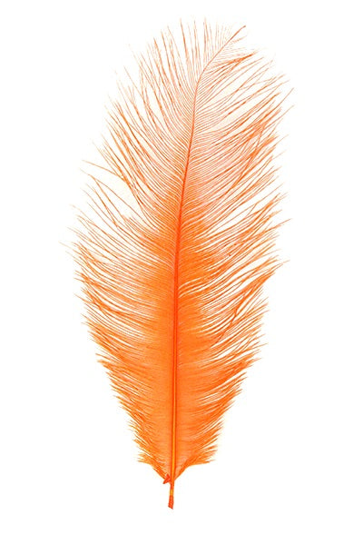 Ostrich Plumes