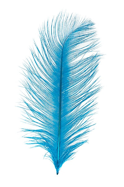 Ostrich Plumes