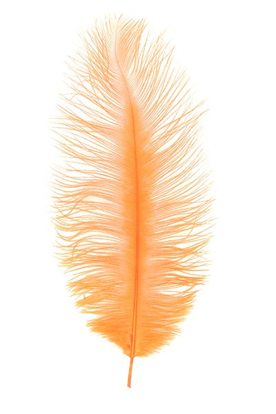 Ostrich Plumes