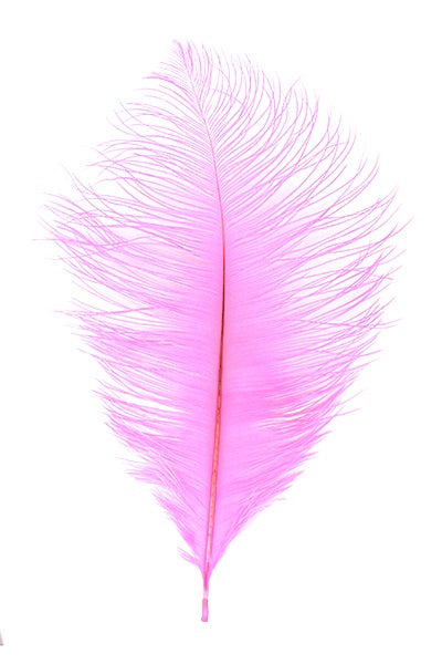 Ostrich Plumes