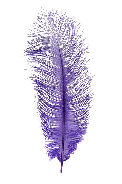 Ostrich Plumes