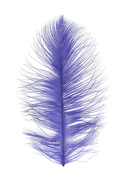 Ostrich Plumes