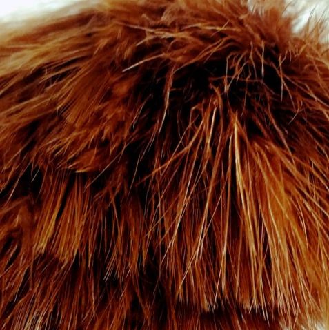 Fish Hunter Blood Quill Marabou 1/4 oz