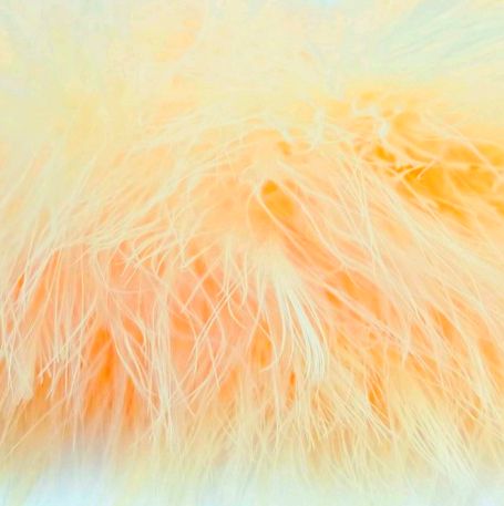 Fish Hunter Blood Quill Marabou 1/4 oz