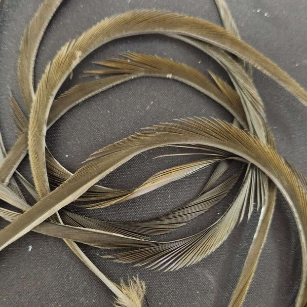 Stripped Goose Biots