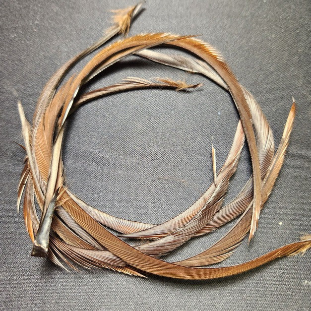 Stripped Goose Biots