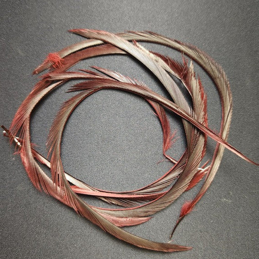 Stripped Goose Biots