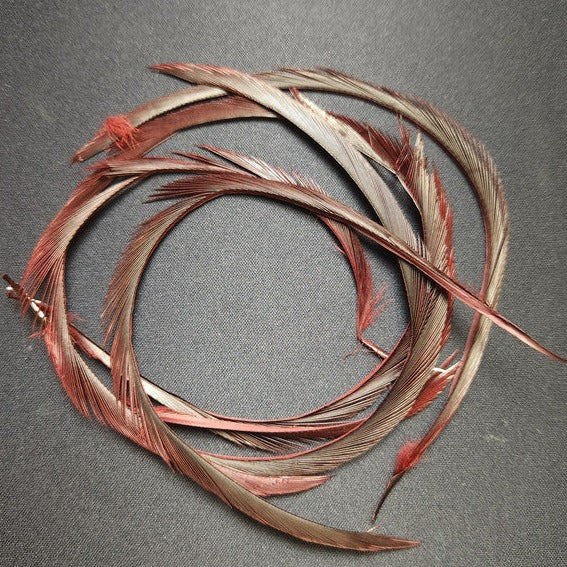 Stripped Goose Biots