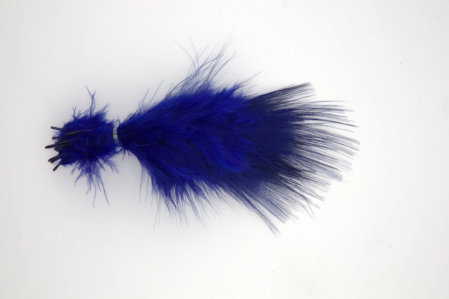 Blue Eared Pheasant - Small