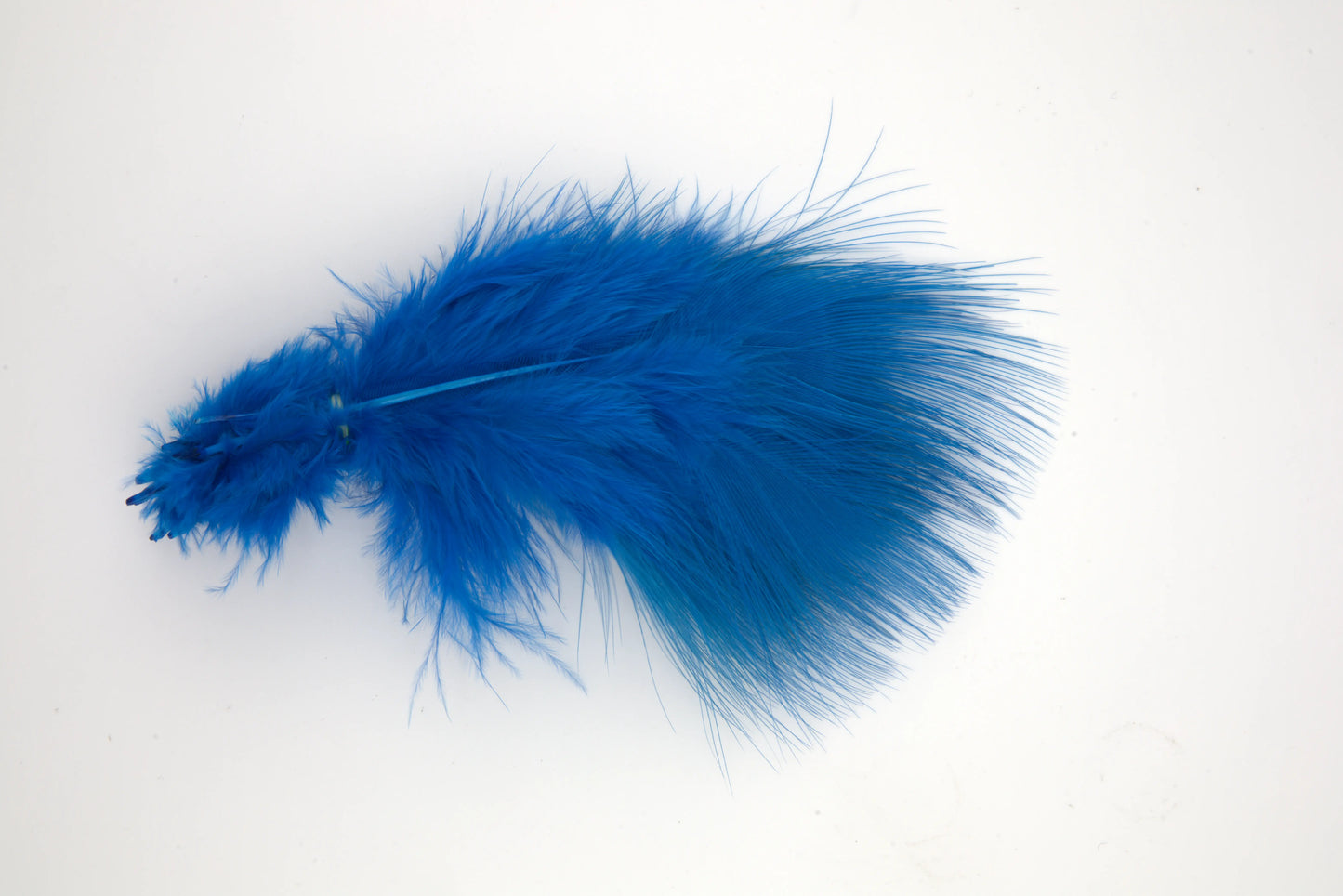 Blue Eared Pheasant - Small