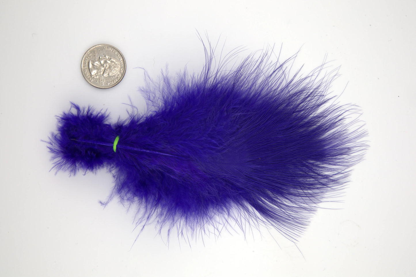 Blue Eared Pheasant - Large