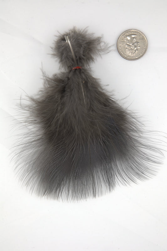 Blue Eared Pheasant - Medium