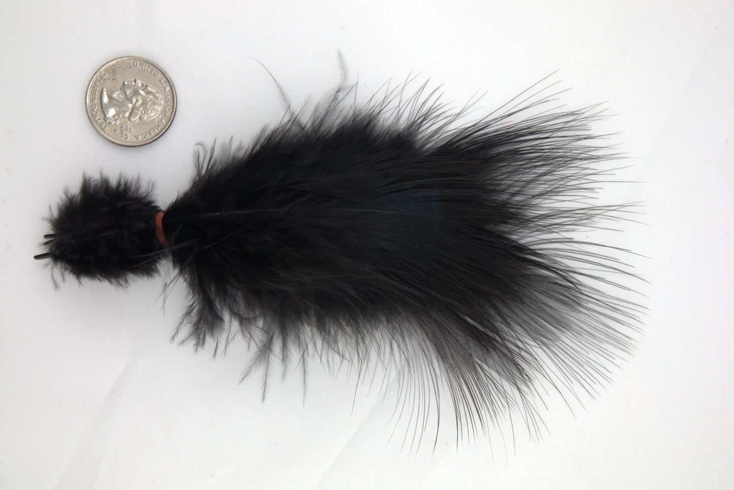 Blue Eared Pheasant - Medium