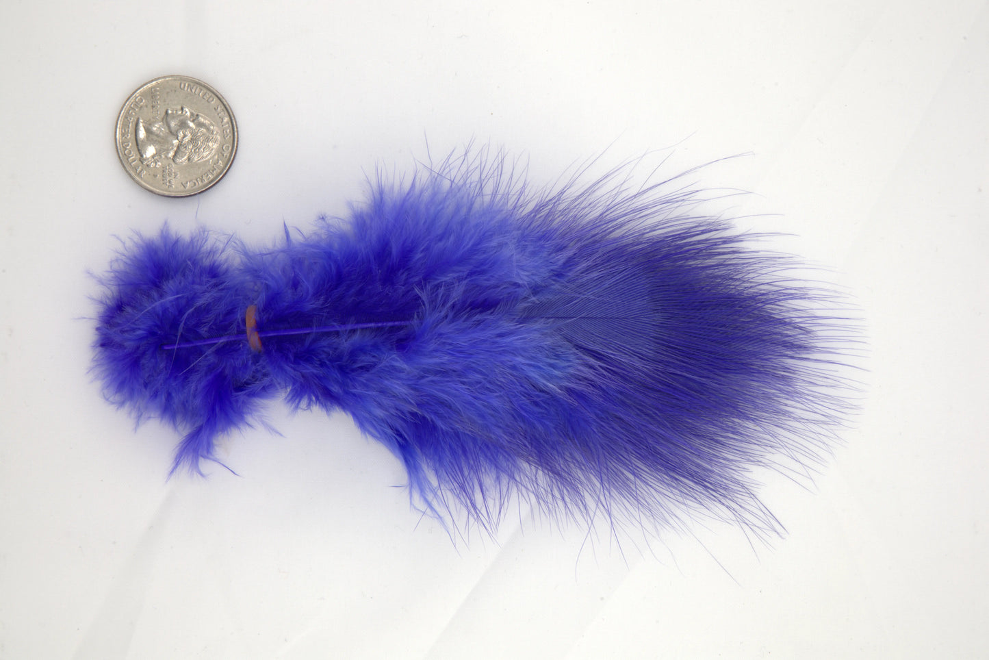 Blue Eared Pheasant - Medium