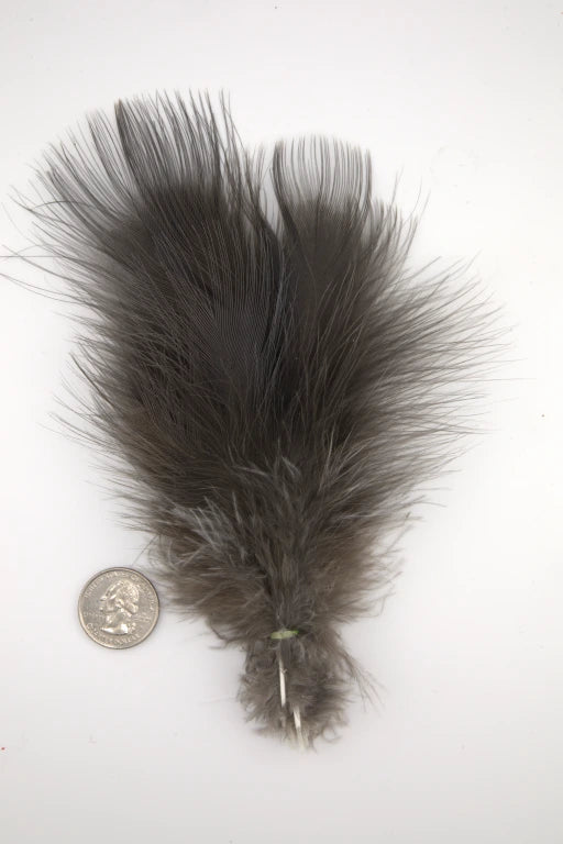 Blue Eared Pheasant - Covert Spey Feathers (M,L)