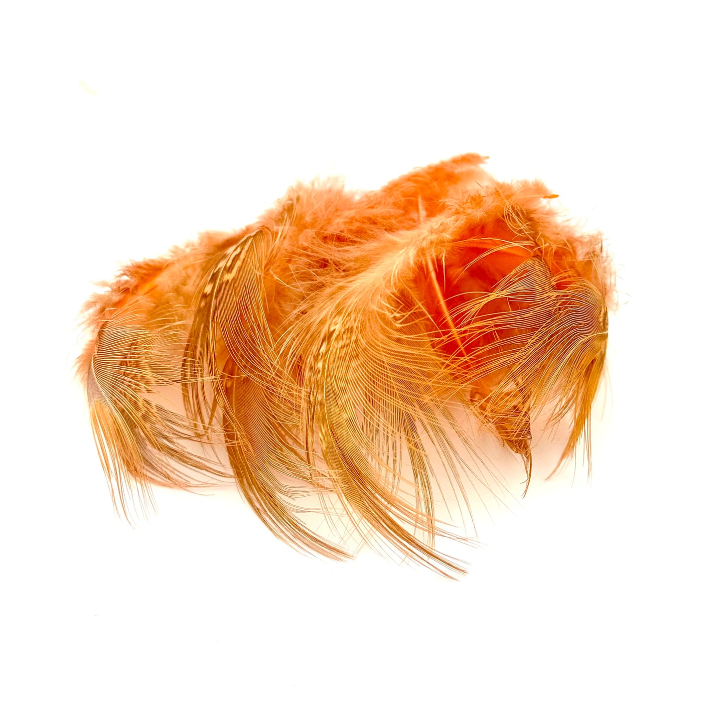 Bleached & Dyed Ring-necked Pheasant Rump Feathers