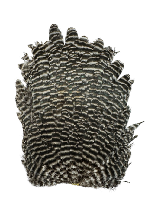 Grizzly Hen Saddle