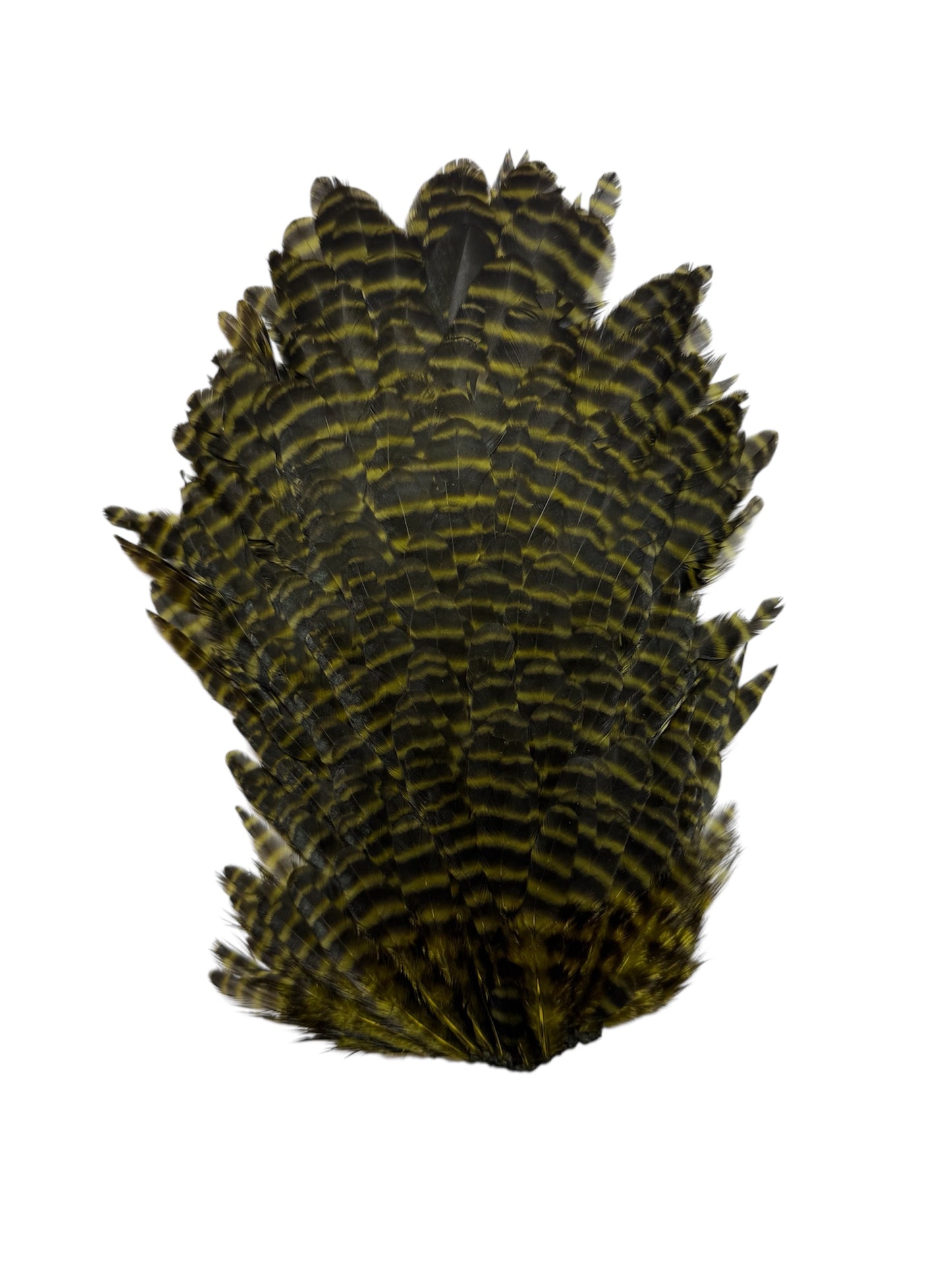 Grizzly Hen Saddle