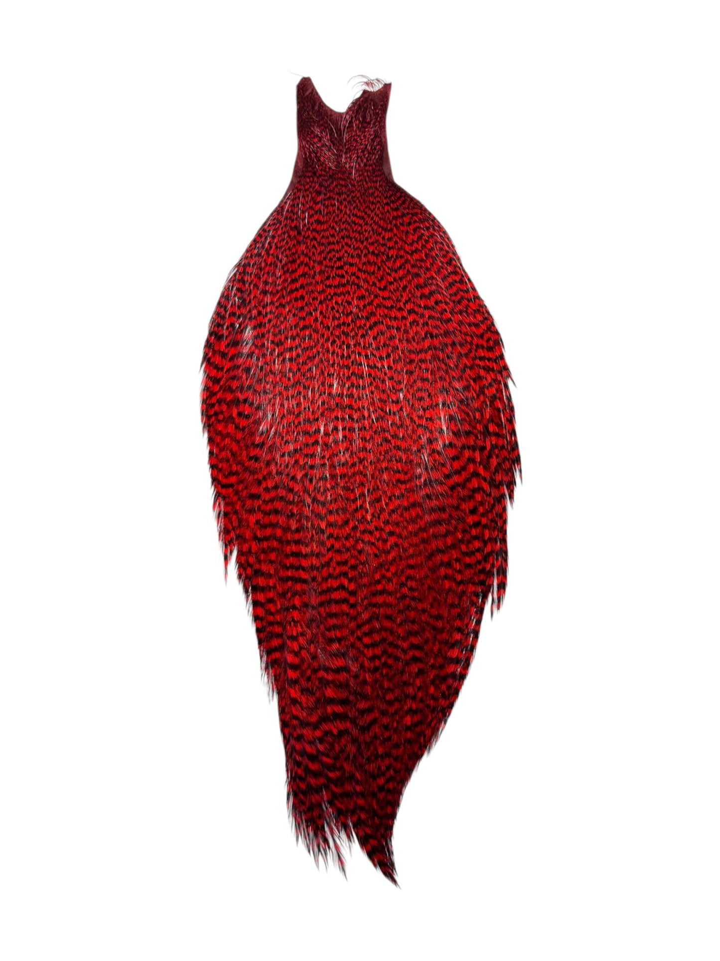 Ewing Grizzly Rooster Whole Cape