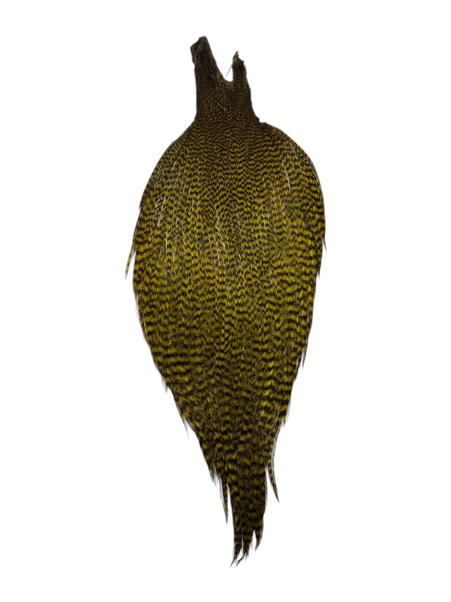Ewing Grizzly Rooster Whole Cape