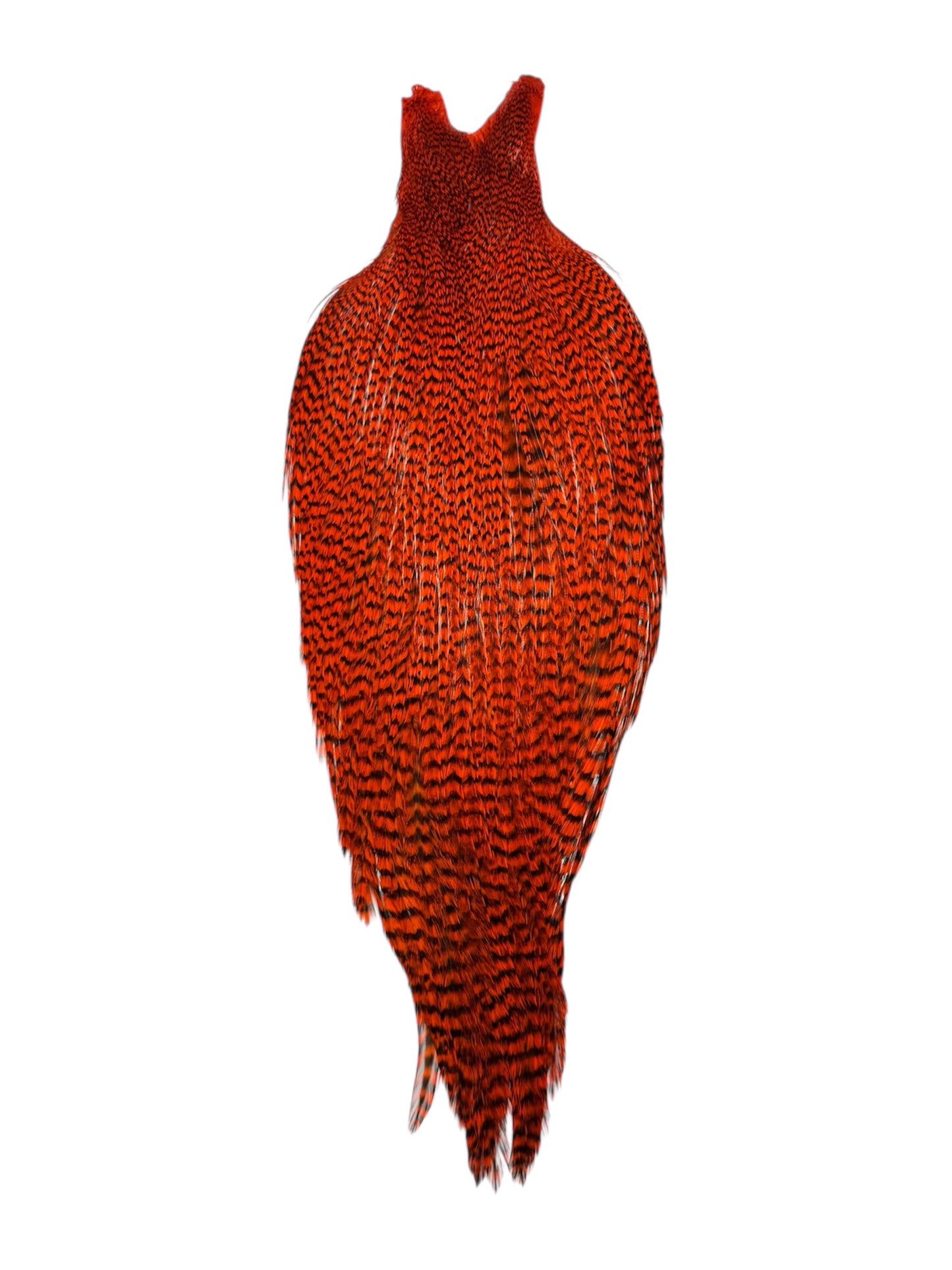 Ewing Grizzly Rooster Whole Cape